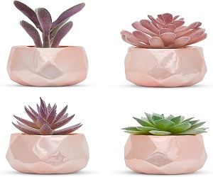 Nordik Set of 4 Desk Plants in Rose Gold